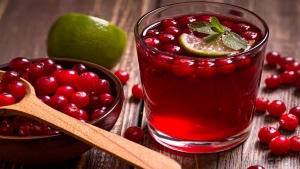 Najnovije istraživanje - brusnica ne deluje na urinarne infekcije